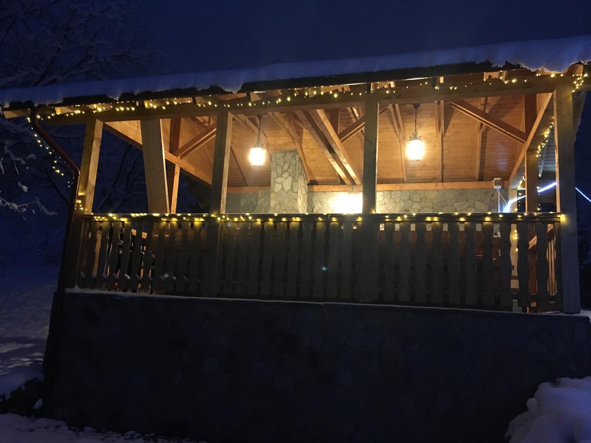 Carpathian Log Home 브란 외부 사진